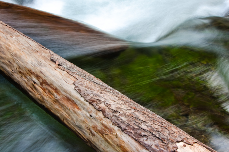 Fallen Tree And Small Cascade